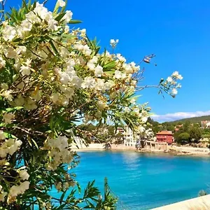 Superbe Cosy à 300 M De La Bandol